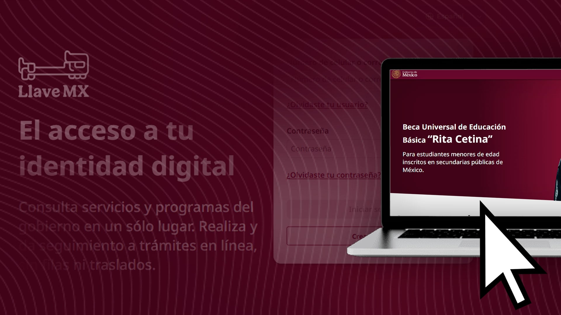Las familias pueden consultar el estatus en la plataforma y buscar alternativas estatales o municipales de apoyo educativo.