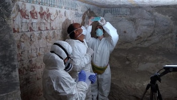 Para ingresar, vistieron mamelucos de