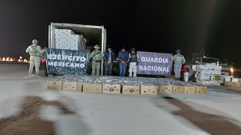 Reporta Gabinete de Seguridad aseguramiento de drogas equivalente a 450 mdp: estos fueron los operativos del 1 al 5 de abril