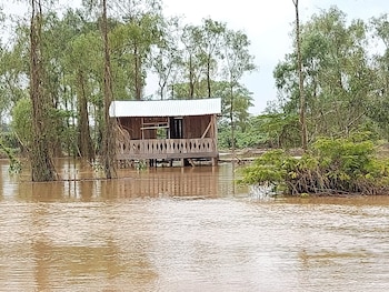 Los cultivos de maíz, arroz, yuca y plátano sufrieron daños en varias comunidades de La Mosquitia por la crecida del río Patuca.