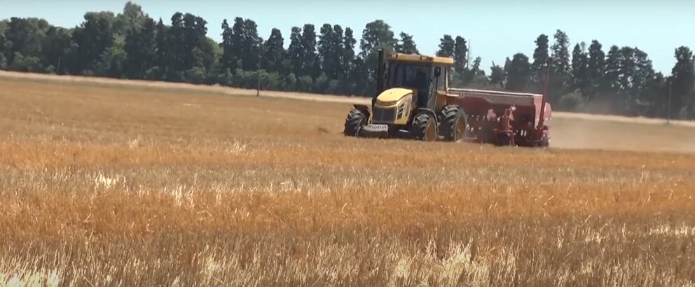 Rentabilidad en jaque: cómo los costos y precios comprometen el negocio agrícola