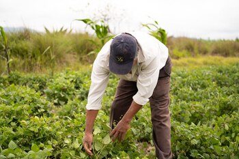 (foto: @apoyosbienestar/X)