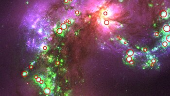 UNAM encontró más de 4,000