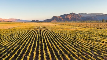 Catamarca: el proyecto inmobiliario que