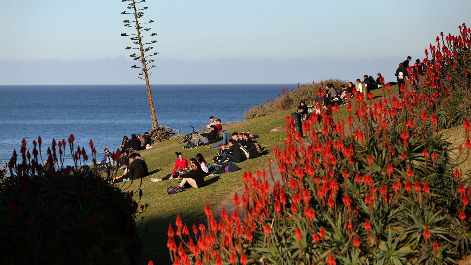 La costa de Mar del Plata permite caminar, recorrer en auto y contemplar panorámicas frente al océano (EMTURYC)