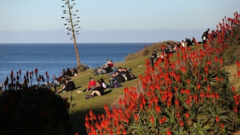 Varias personas sentadas en una ladera de hierba frente al océano, entre plantas de áloe con flores rojas