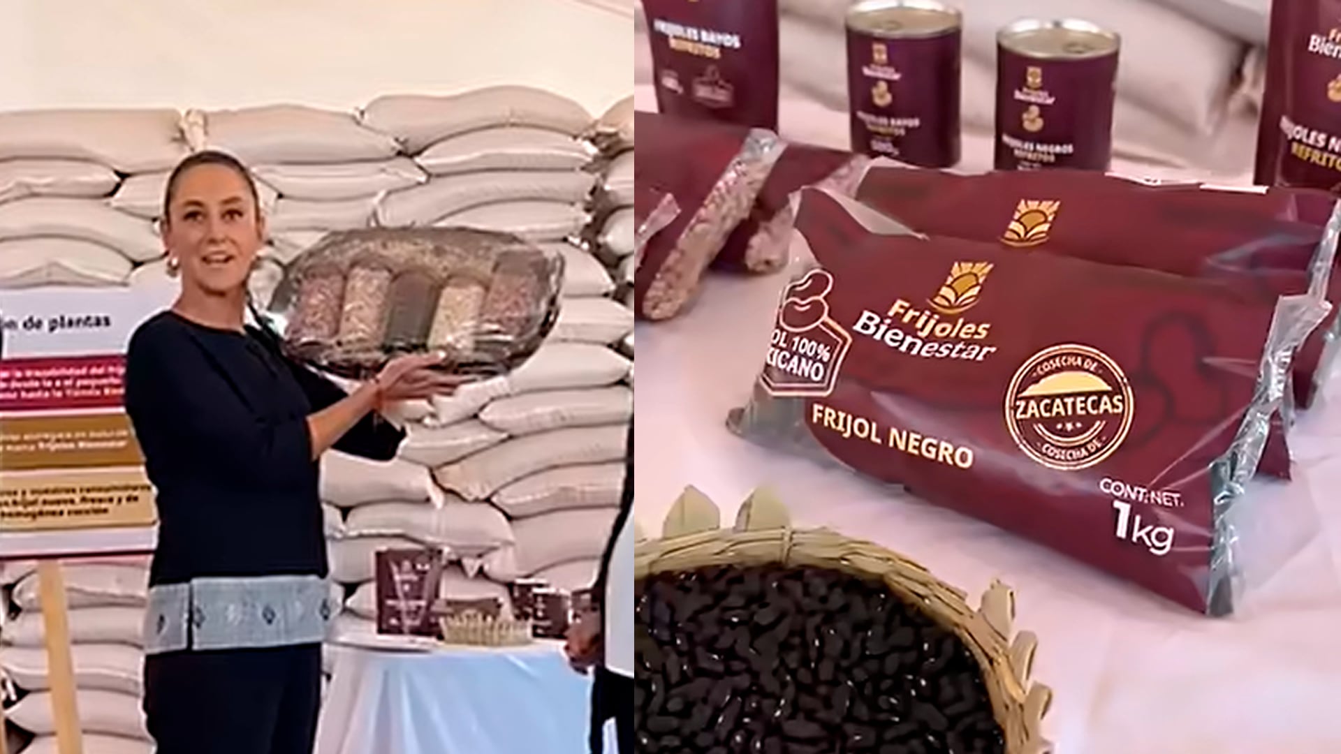 Sheinbaum promete ampliar el acopio de frijol a 96 mil toneladas