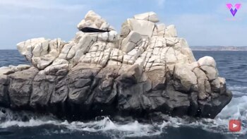 28-09-2021 Un artista construye un extraño barco que parece una roca flotante
SOCIEDAD
YOUTUBE - VIDELO - @JULBERTHIER