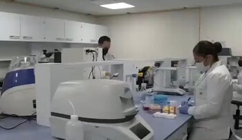 A través de análisis de