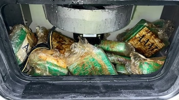 Panamá intercepta droga oculta en un contenedor que viajaba de Perú hacia Bélgica
