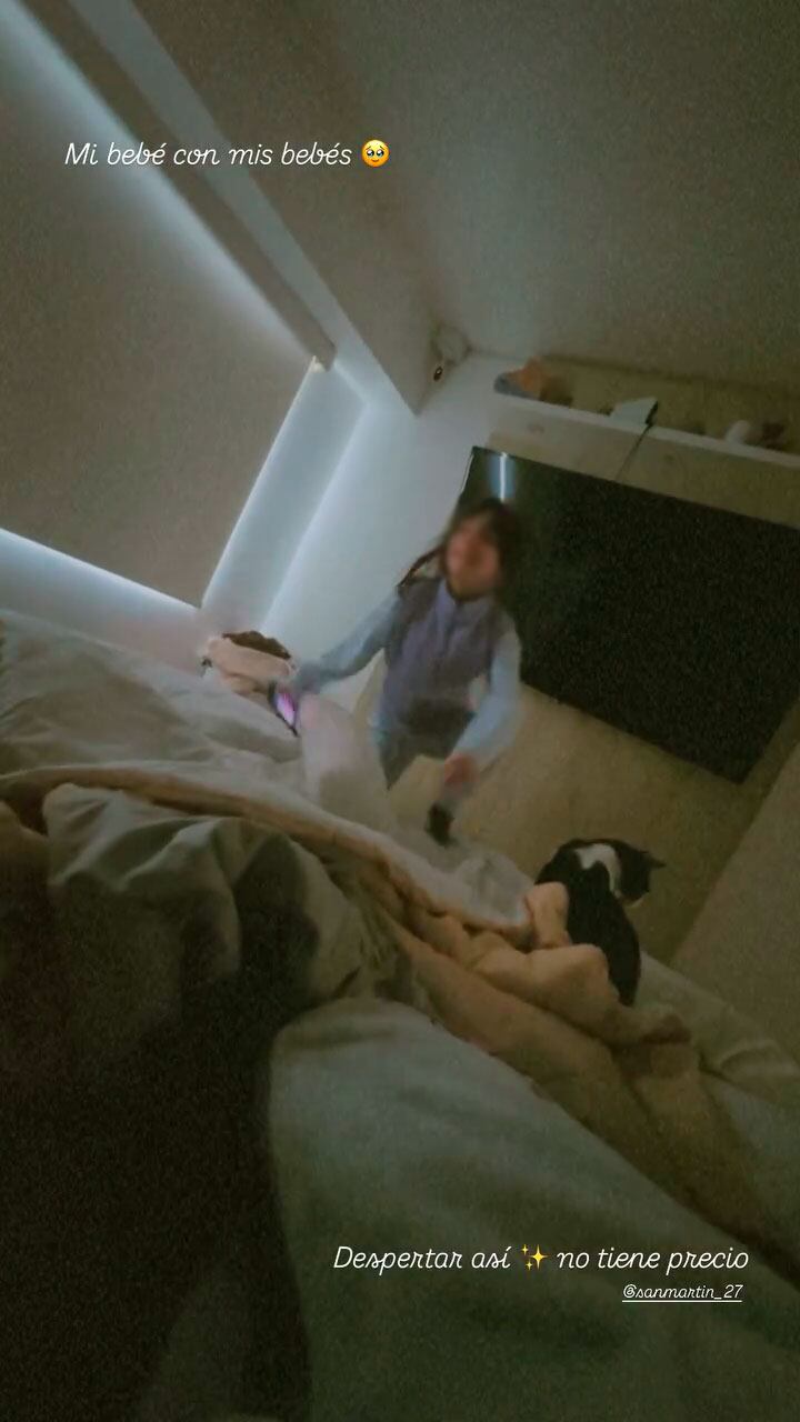 Andrea San Martín publica imagen con sus gatos en una primera respuesta a acusaciones de Juan Víctor Sánchez.