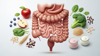 Qué comer para tener un colon sano y reducir el riesgo de cáncer colorrectal, según gastroenterólogos