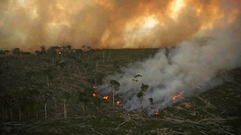 De nuevo la calidad del
