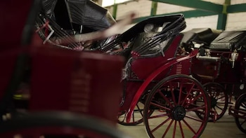 Adiós a los coches de