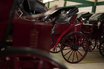 Cartagena sustituye definitivamente los coches