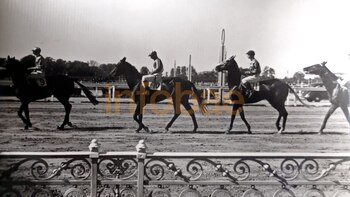 Una competencia de caballos, fotografiada