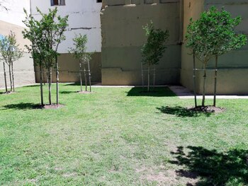 Donde ahora está la plaza Roberto Arlt, se levantaba el cementerio de pobres y ajusticiados. Allí fueron enterrados los cuerpos de los ejecutados