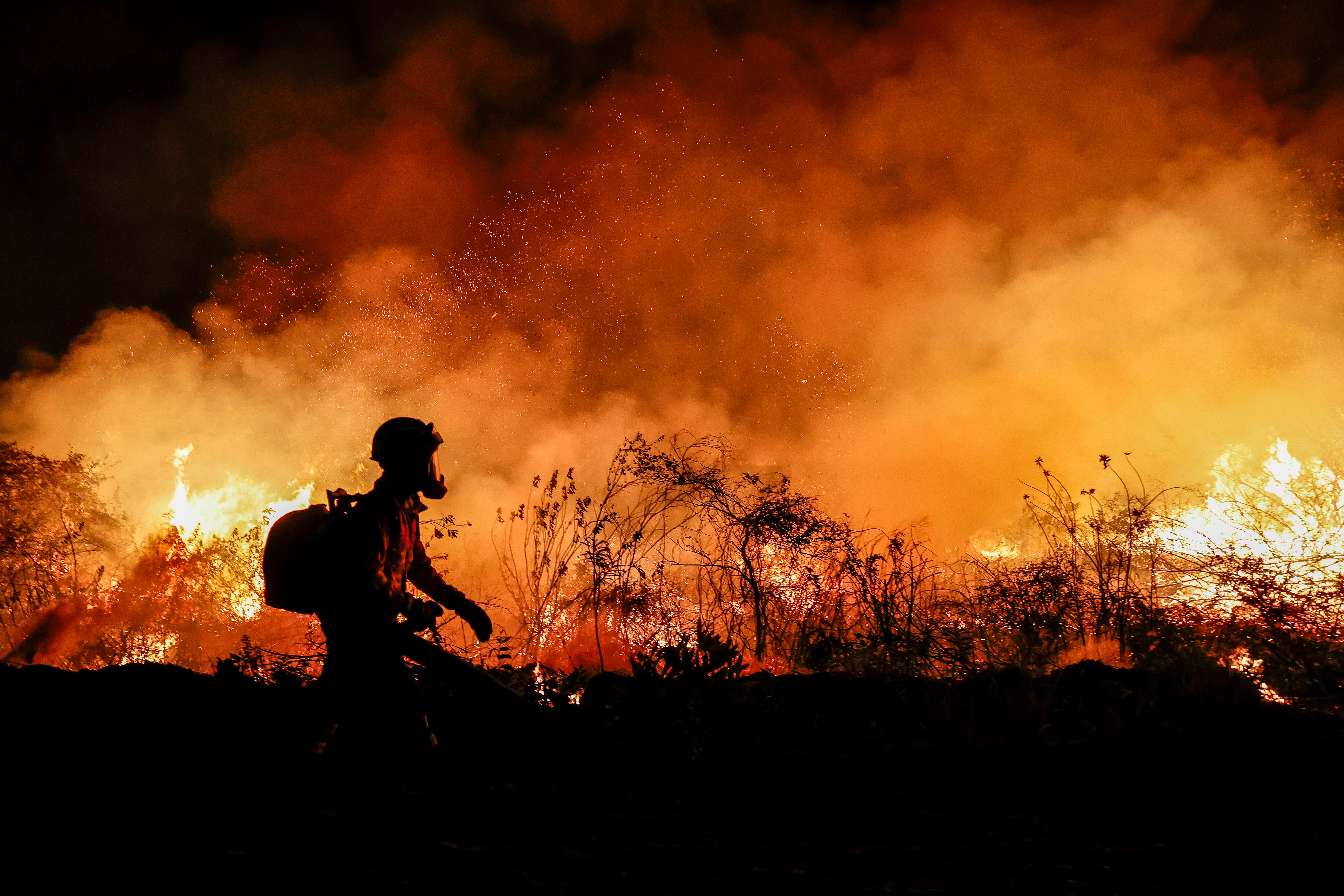 Fotografía de archivo en donde se ve a un bombero mientras trabaja en la extinción de un incendio forestal en Brasil. EFE/ Sebastiao Moreira