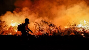 Mexico e India se preparan