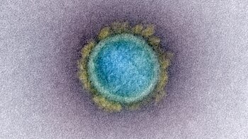 El estudio publicado el 12