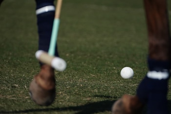 El predio de Tortugas recibió