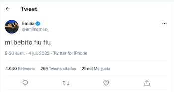 Mi bebito fiu fiu en