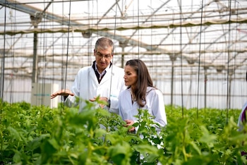 Imagen WR4FIDYMHNFTBIPO5XODIRAJEQ