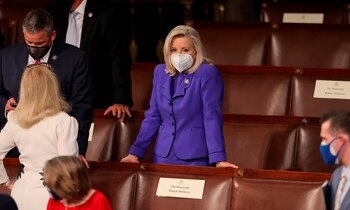 En la imagen la congresista