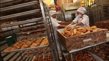 La legislación no solo ha