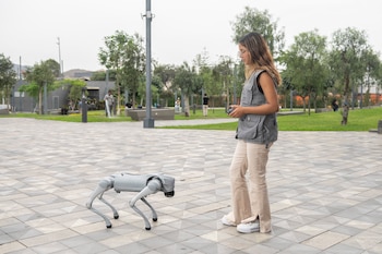 El proyecto sirve como laboratorio