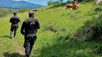 El Salvador acumula cinco homicidios en lo que va de agosto a nivel nacional