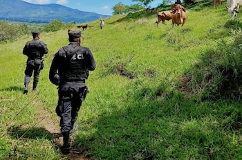El homicidio en San Alejo dejó muerto a un hombre de 61 años que, según las investigaciones iniciales, fue lesionado y atropellado de forma intencional. (Foto cortesía Policía Nacional Civil)
