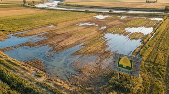 Vista aérea de campos de arroz con zonas inundadas y secas. El río Po serpentea al fondo, y en el primer plano se ve un cartel de Coldiretti.