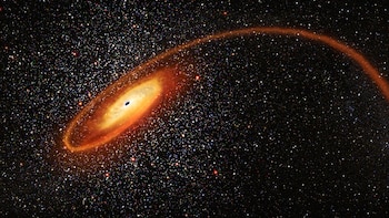 Los agujeros negros son los