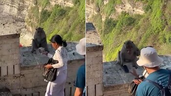 Negociación insólita: mono y turista