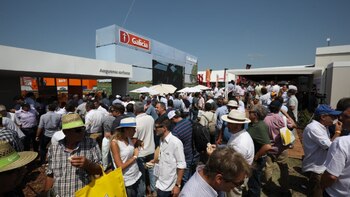 La nueva propuesta de Galicia