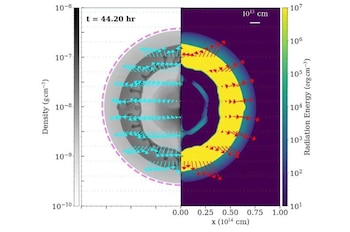 Las simulaciones numéricas revelan cómo