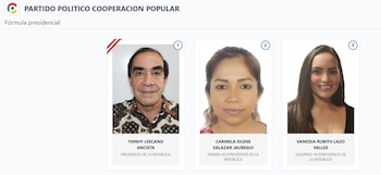 Lista de vicepresidentes en Perú 2026: estos son los acompañantes de cada candidato: Captura: ONPE.