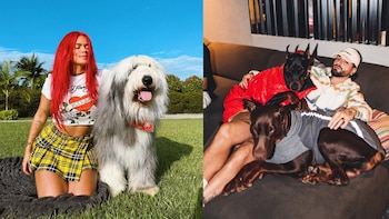 Estas son las millonadas que