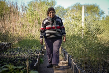 Gregoria recuerda un monte más frondoso y fértil cuando 20 años atrás recién llegaba a Vinalito. Hoy ayuda a reforestarlo. "A mí de aquí nadie me saca", le dijo a Infobae