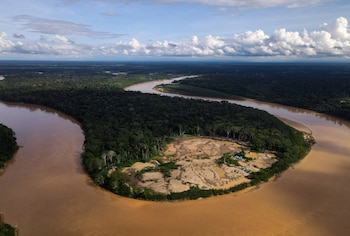 La Amazonia, un ecosistema vital en peligro. El cambio climático, la deforestación y la degradación forestal, las principales amenazas para la selva