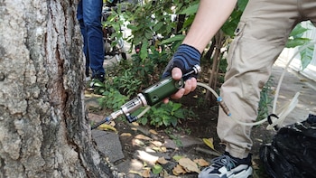 Cali gestiona un inventario de 382.655 árboles con una priorización del 54 % en especies nativas - crédito Alcaldía de Cali