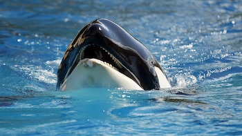 Multan a un hombre por