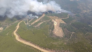 Activado el nivel 2 de peligrosidad en el incendio forestal en Pinofranqueado