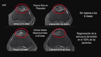 Médicos del Instituto de Terapia