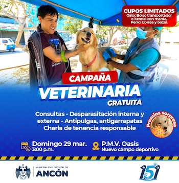 La jornada se realizará el domingo 29 de marzo en el mini complejo deportivo Oasis, en el sector P.M.V. Oasis - Créditos: Municipalidad de Ancón.