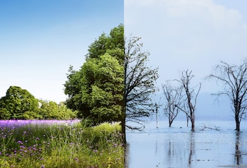 El estudio advierte sobre la