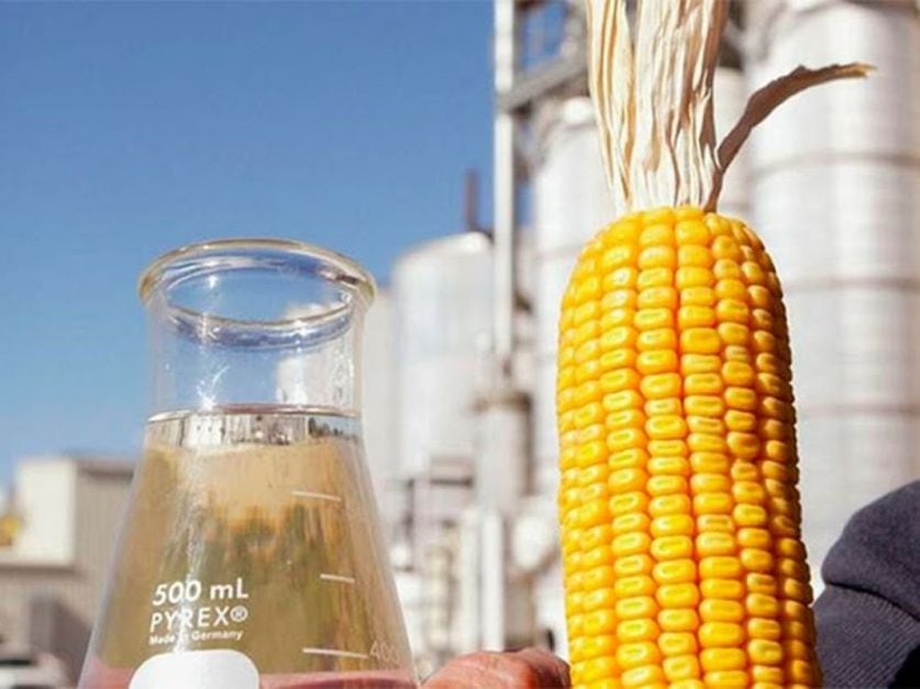 Agricultura autorizó la comercialización de una nueva levadura genéticamente modificada que optimiza la producción de bioetanol (BCR)