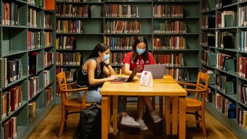 Harvard admite falta de normas