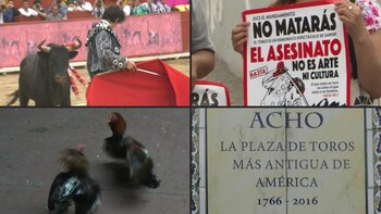 Las populares corridas de toros